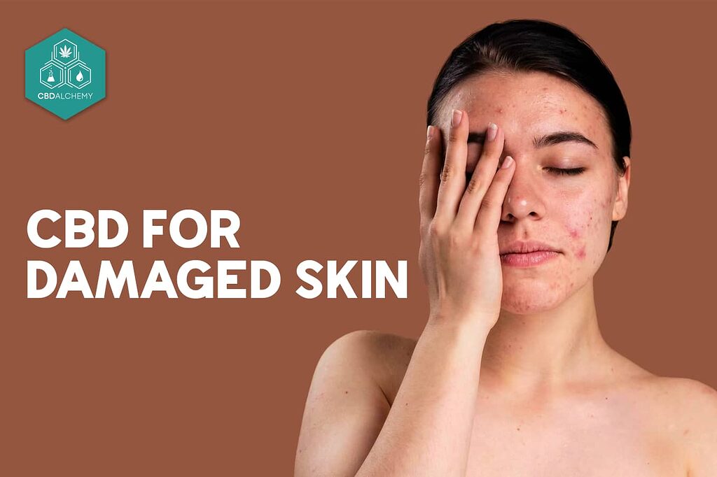 Antioxidant serums with CBD: Nature's defense against environmental stressors. 