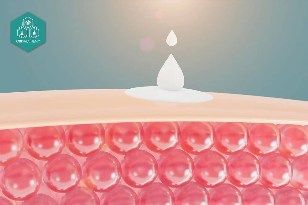 CBD-rich Face Creams: Offering hydration, reduced inflammation, and anti-aging benefits for a radiant, youthful complexion.