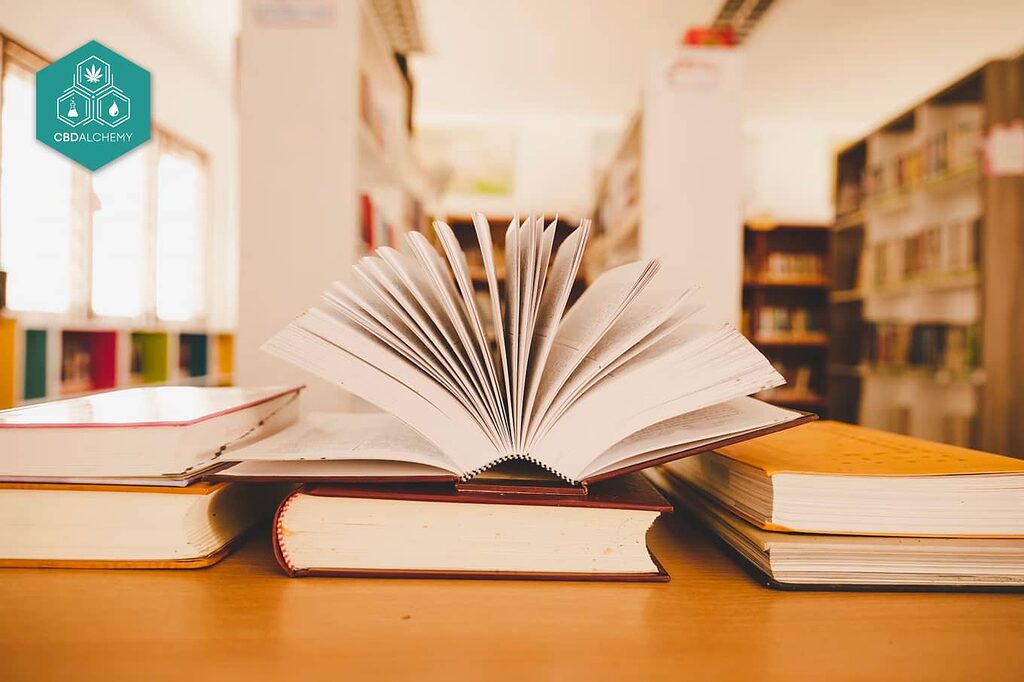 Morning and night: The ideal rhythm for your anti-aging serum application.