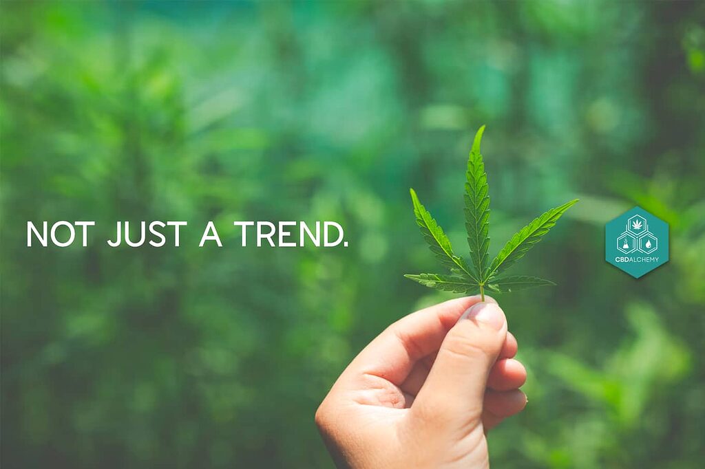 CBD cosmetics - A revolution in skincare, not just a trend.