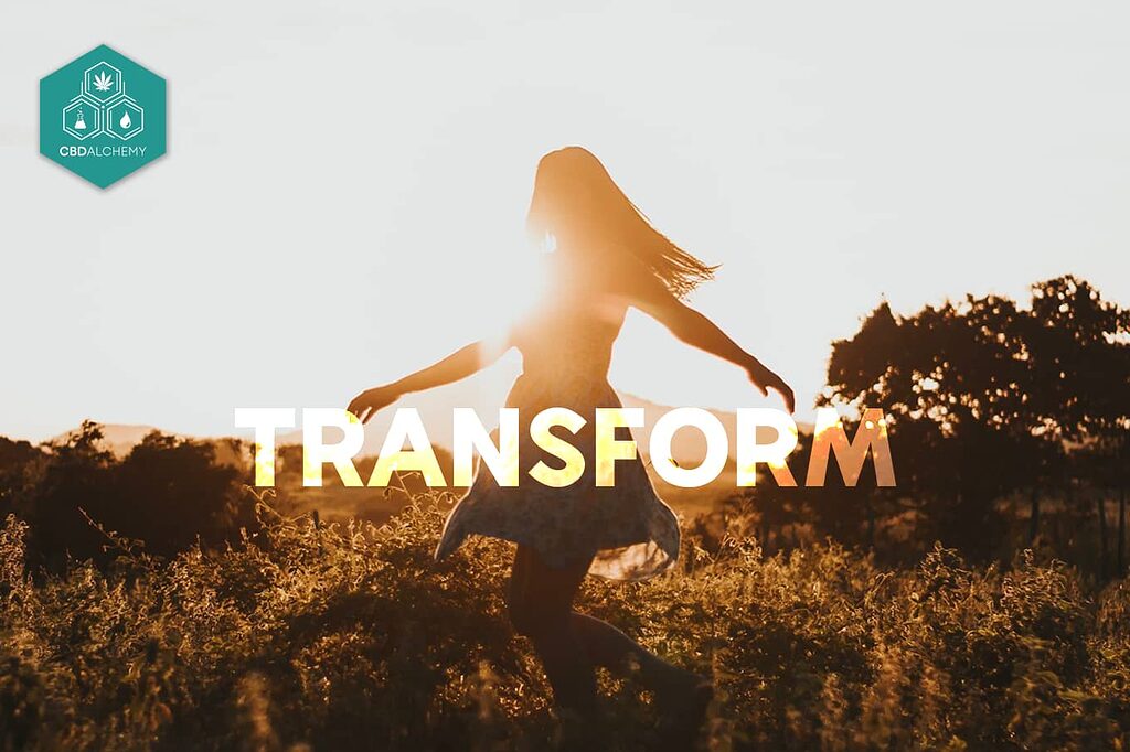 Elevate your skincare routine with the transformative power of CBD Alchemy.