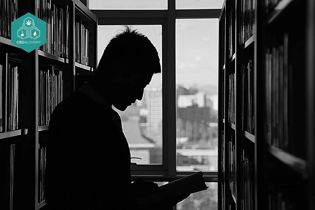 Legality of CBD flowers: Stay informed about regulations and ensure a hassle-free experience.