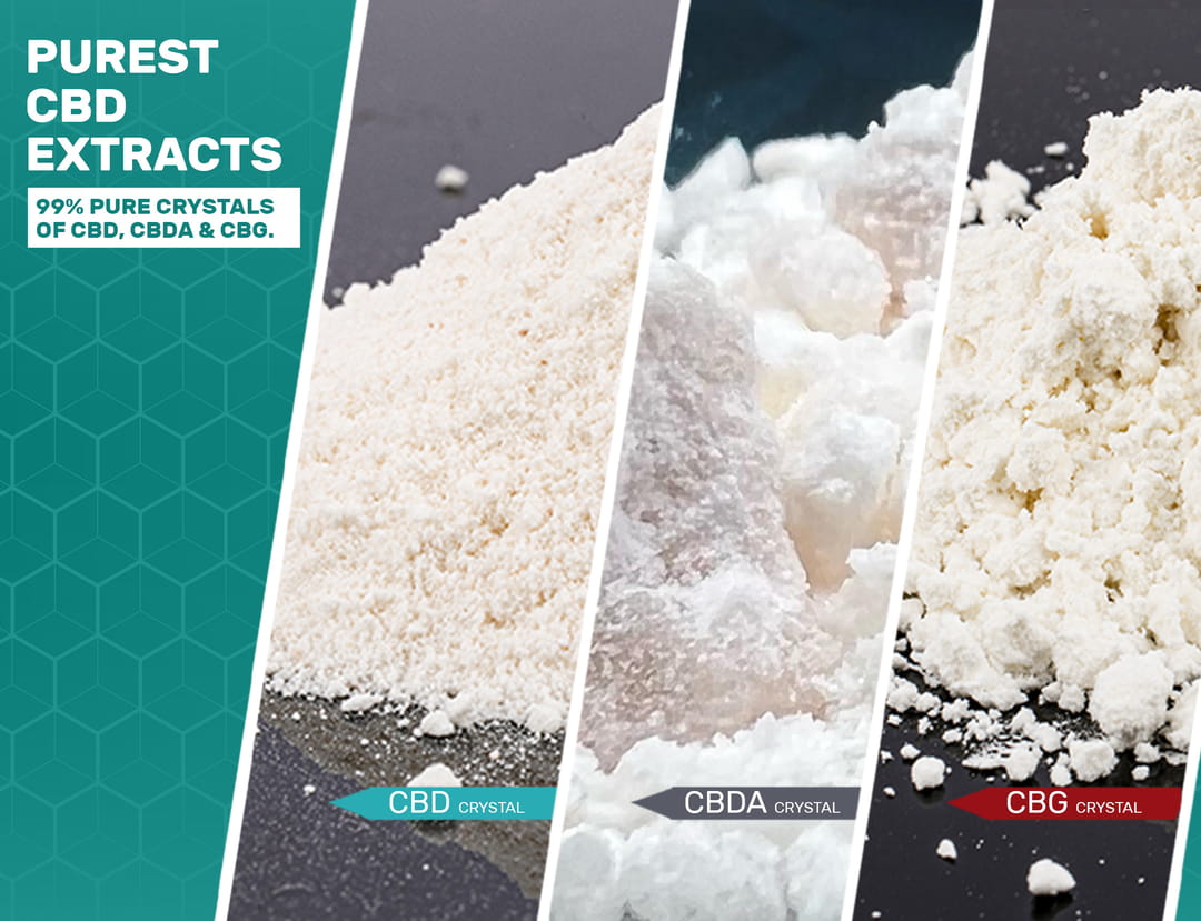 Variety of the purest cannabis extracts