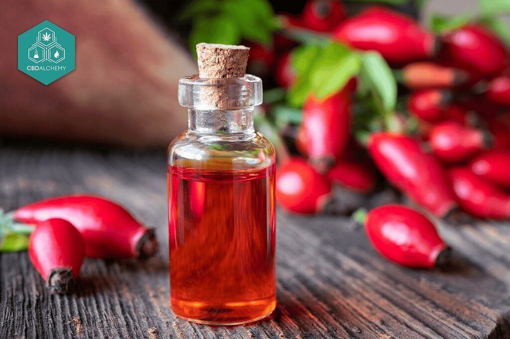 Rosehip oil: The age-old secret to a timeless complexion.