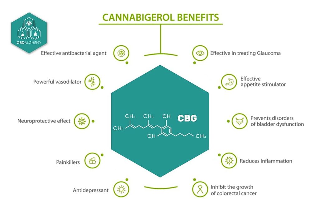 From pain management to neuroprotection: Discover the benefits of CBG.