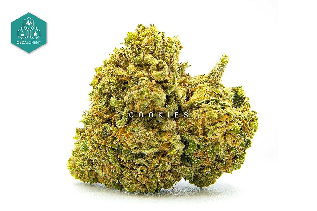 Cookies CBD: a unique flavor for a unique experience in Barcelona.