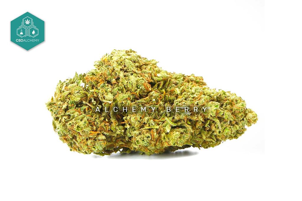 Alchemy Berry, where every flower is an alchemy of wellness and taste.