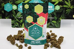 Discover how to buy superior quality CBD flowers with CBD Alchemy.