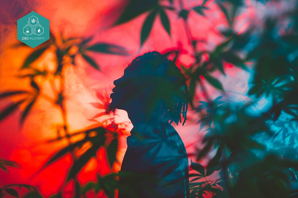 Awareness is key: Understanding CBD side effects to maximize its wellness potential. 