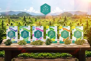 Dive into the diverse world of strains of weed, each with unique effects and uses.