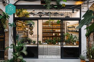 Explore the best selection at the CBD Valencia store.