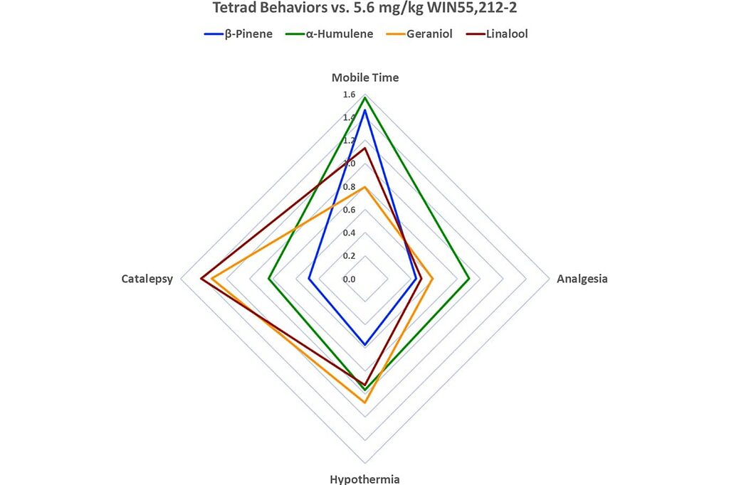 Entourage effect diagram: terpenes and cannabinoids synergy.