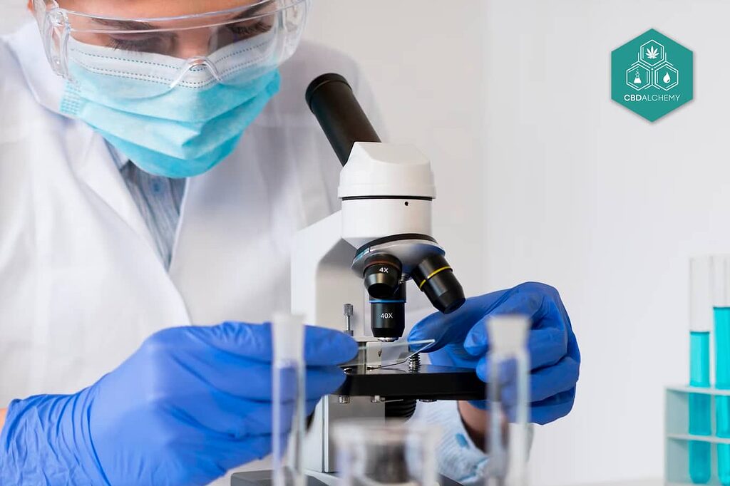 Laboratory-tested CBD Hyaluronic Acid Serum.