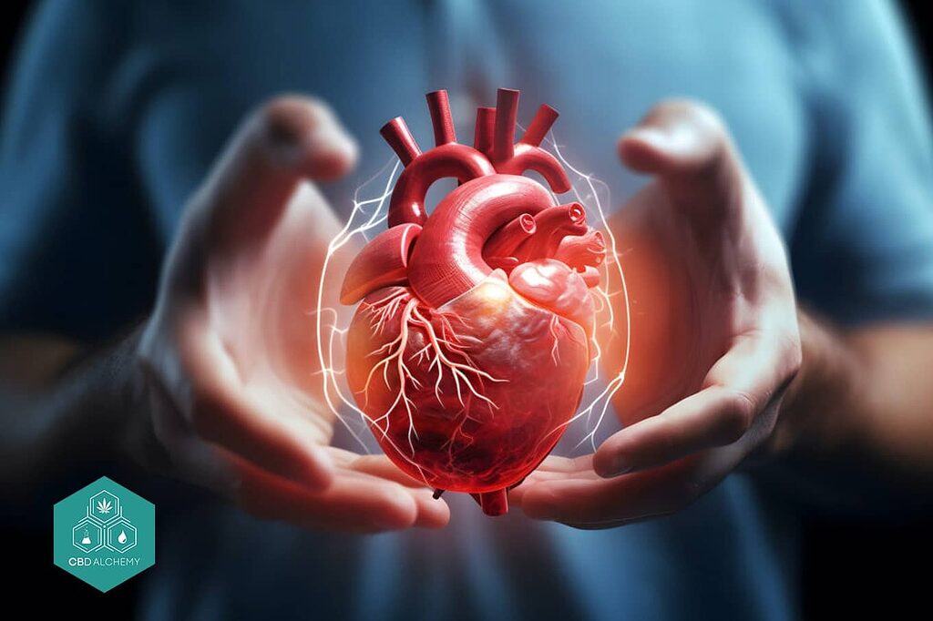 Efectos terapéuticos de los flavonoides en la salud cardiovascular.