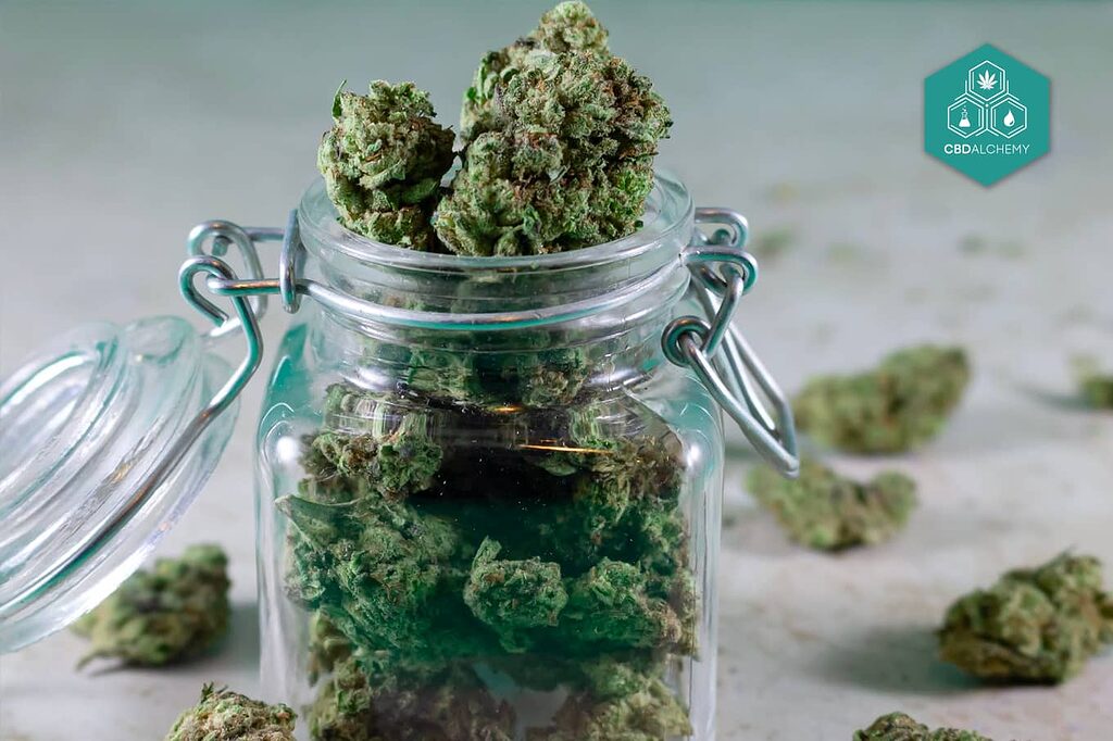 Best CBD flower storage container options.