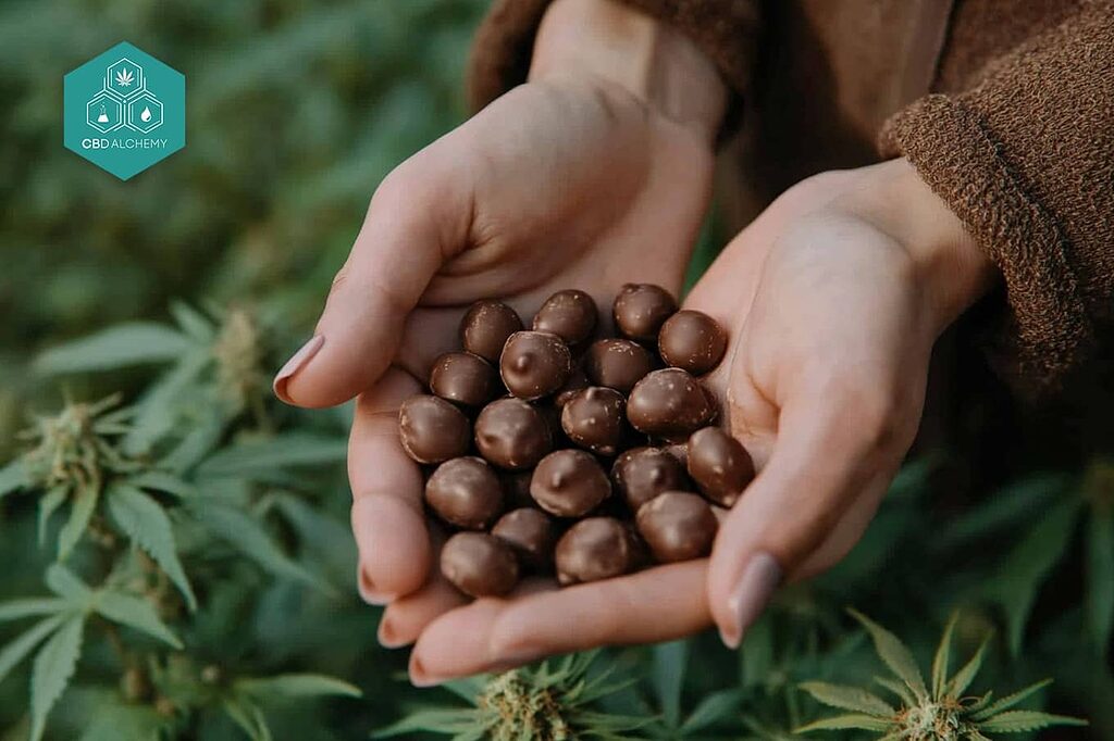 Hemp chocolates rich in omega-3 and omega-6 fatty acids.
