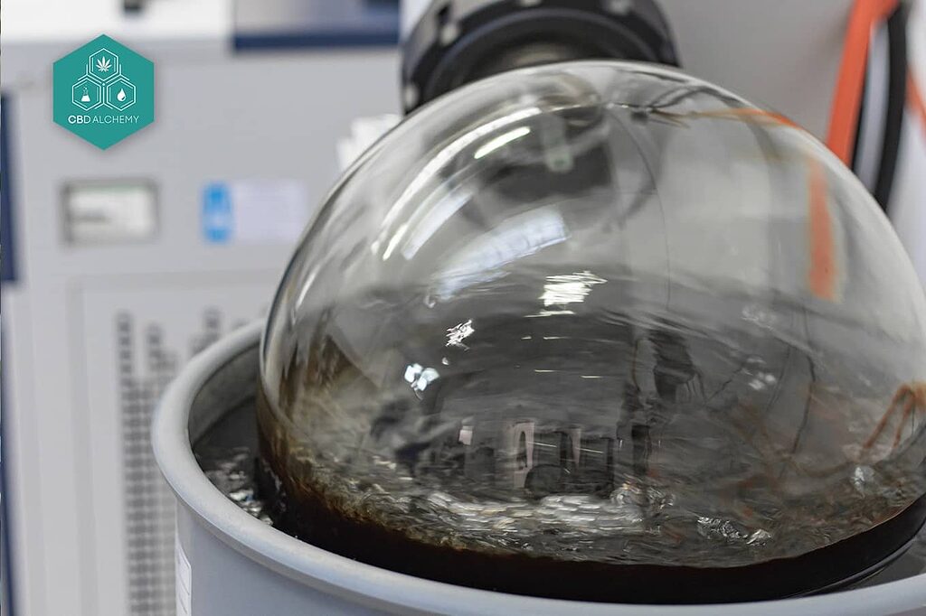 Hemp extraction equipment for wholesale production.