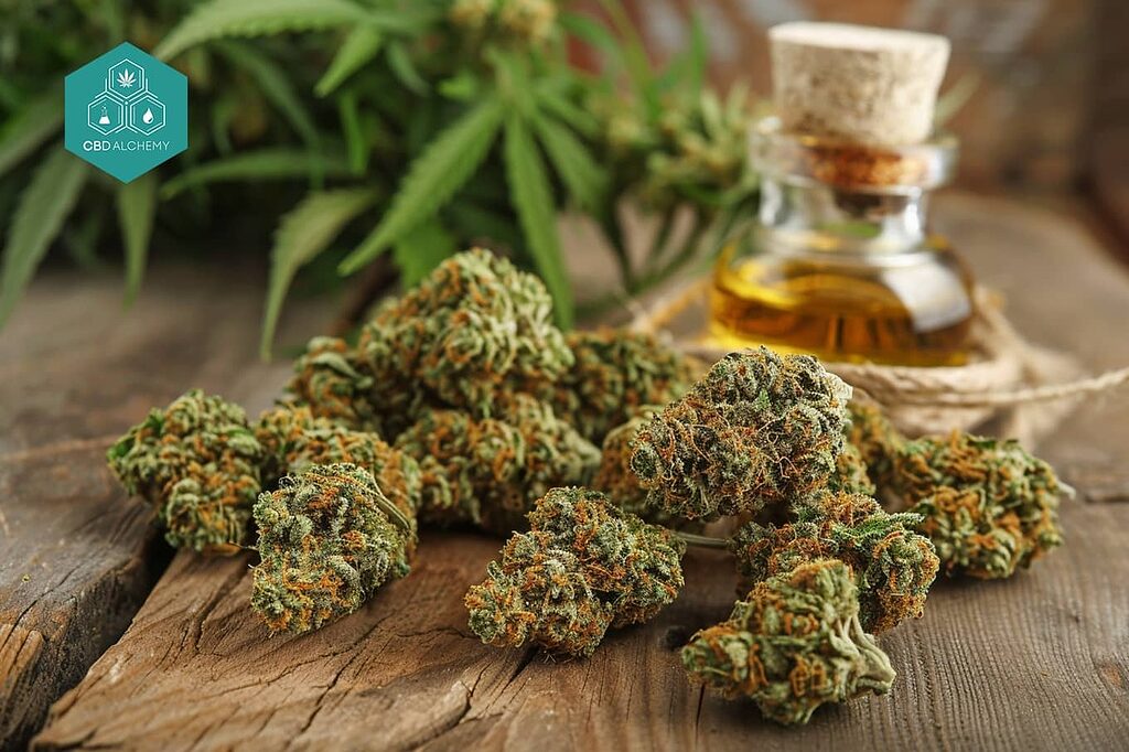 CBDA’s fast absorption means quicker relief compared to other cannabinoids.