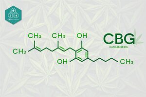 An overview of CBG, its properties and benefits.