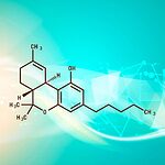 The molecular structure of Cannabidiol (CBD) differs slightly from THC, explaining its non-intoxicating properties.