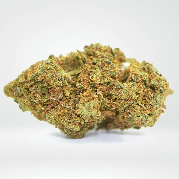 flowers-greenhouse-deep_candy-product-v6b