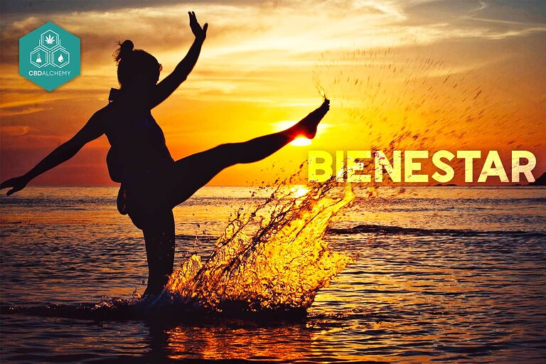 Découvrez l'huile de cannabidiol : Votre guide vers le bien-être