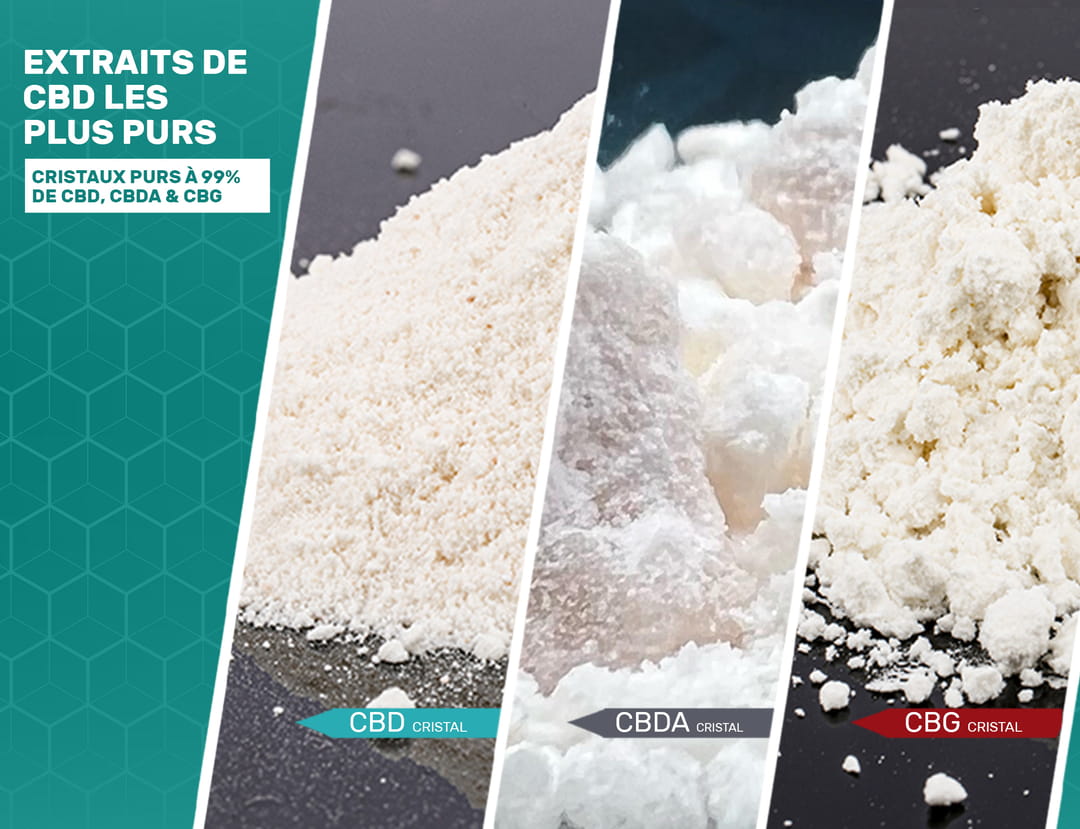 Variété d'extraits de cannabis les plus purs