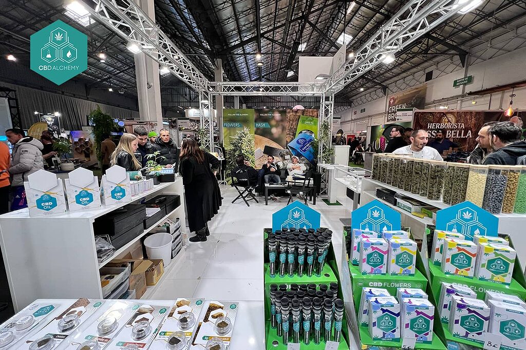 CBD solutions for all your wellness needs at CBD Alchemy