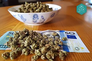 Ajoutez nos fleurs CBD cultivées avec soin à votre panier à des prix abordables.