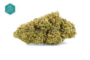 L'utilisation du cannabidiol dans Gorilla Glue CBD pour réduire l'anxiété.